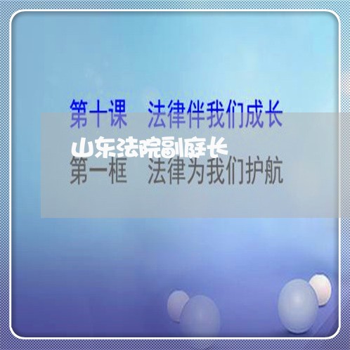 山东法院副庭长