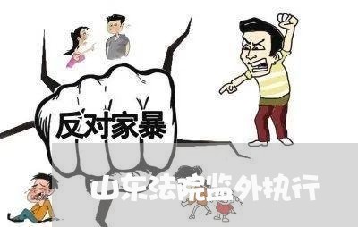山东法院监外执行 山东法院监外执行