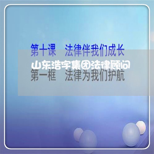 山东浩宇集团法律顾问 山东浩宇集团法律顾问