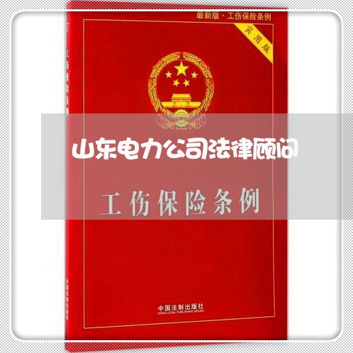山东电力公司法律顾问 山东电力公司法律顾问