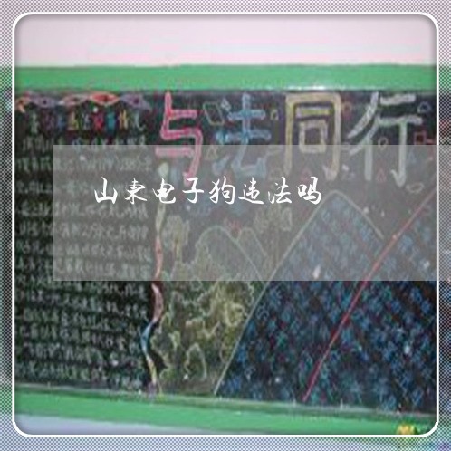 山东电子狗违法吗 山东电子狗违法吗
