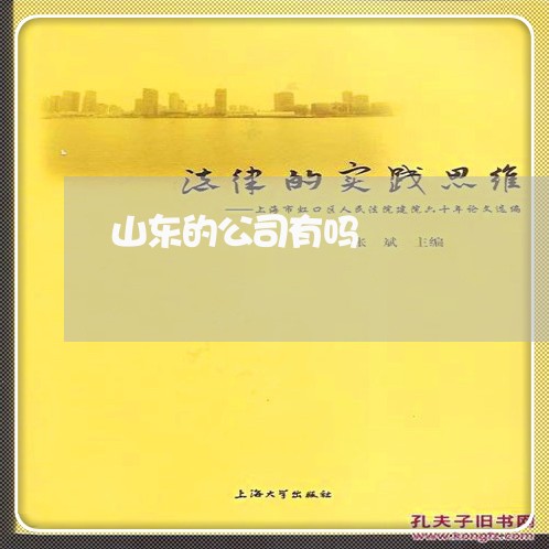 山东的公司有吗