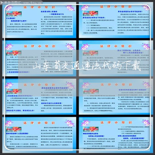 山东省交通违法代码下载 山东省交通违法代码下载