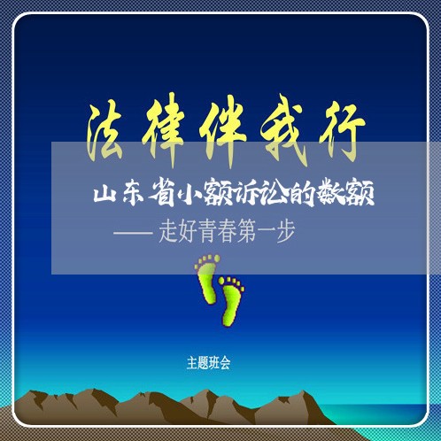 山东省小额诉讼的数额 山东省小额诉讼的数额