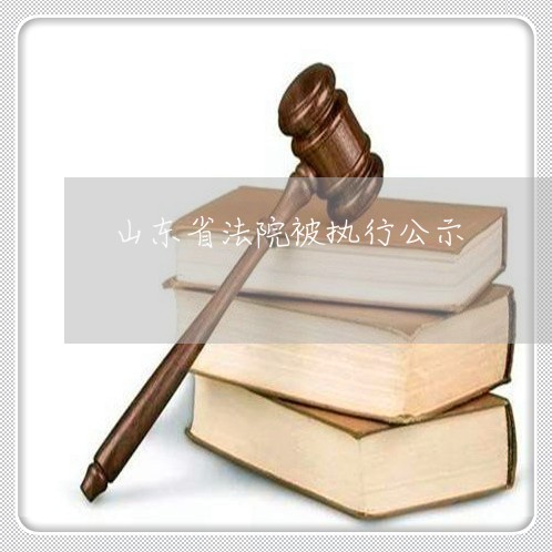 山东省法院被执行公示