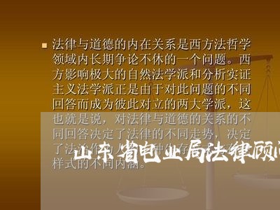 山东省电业局法律顾问