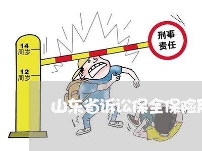 山东省诉讼保全保险反担保
