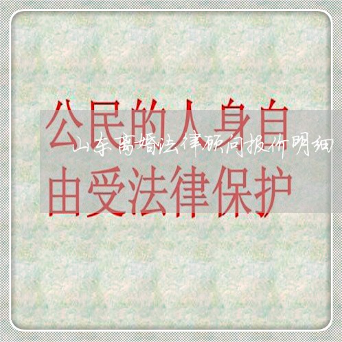 山东离婚法律顾问报价明细/2023061810804 山东离婚法律顾问报价明细/2023061810804