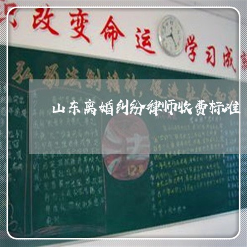 山东离婚纠纷律师收费标准