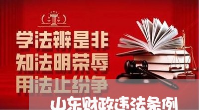 山东财政违法条例