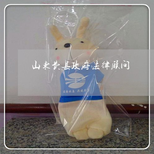 山东费县政府法律顾问 山东费县政府法律顾问