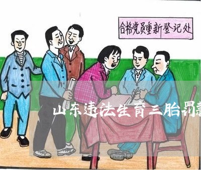 山东违法生育三胎罚款多少