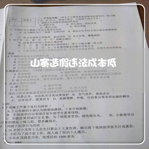 山寨造假违法成本低 山寨造假违法成本低