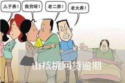 山核桃网贷逾期 山核桃网贷逾期