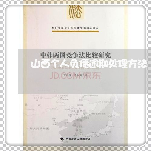 山西个人负债逾期处理方法