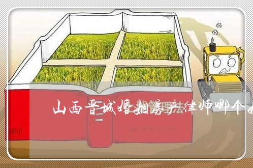山西晋城婚姻房产律师哪个好 山西晋城婚姻房产律师哪个好