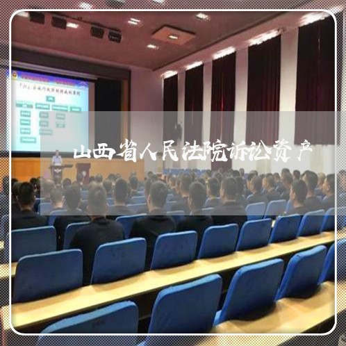 山西省人民法院诉讼资产 山西省人民法院诉讼资产