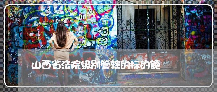 山西省法院级别管辖的标的额