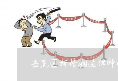 岳麓区新婚姻法律师收费