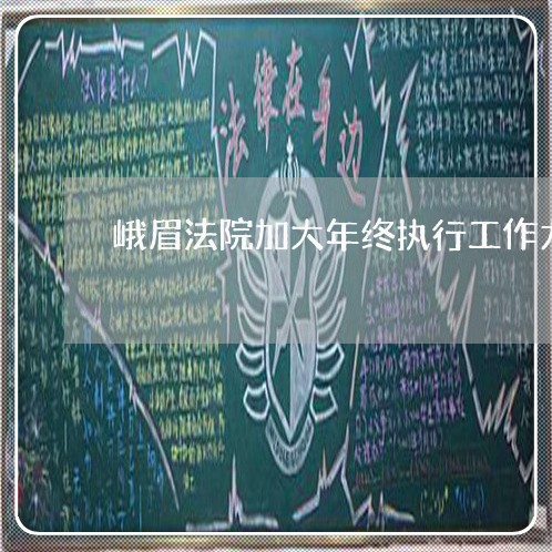 峨眉法院加大年终执行工作力度