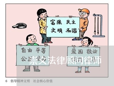 崇文法律顾问律师 崇文法律顾问律师
