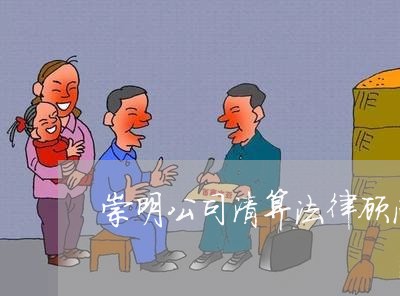 崇明公司清算法律顾问 崇明公司清算法律顾问
