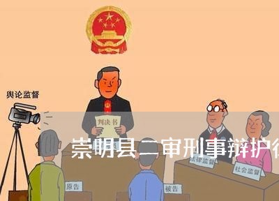 崇明县二审刑事辩护律师咨询