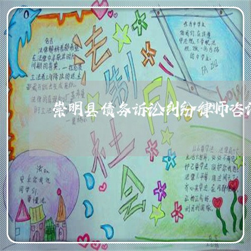 崇明县债务诉讼纠纷律师咨询 崇明县债务诉讼纠纷律师咨询