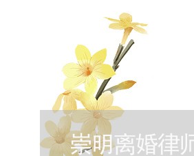 崇明离婚律师所在哪个位置/2023060984825