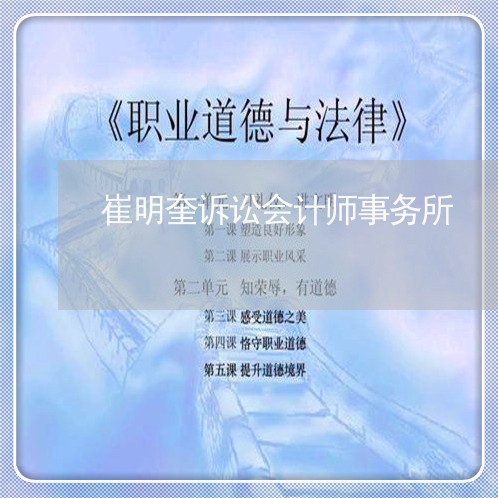 崔明奎诉讼会计师事务所