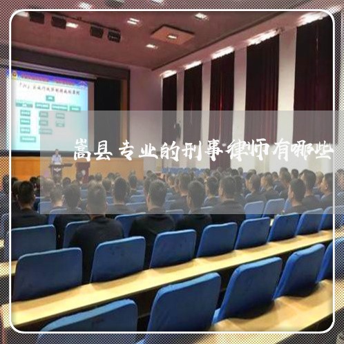 嵩县专业的刑事律师有哪些 嵩县专业的刑事律师有哪些