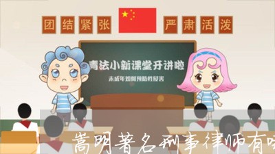 嵩明著名刑事律师有哪些