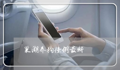 巢湖养狗条例最新