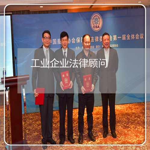 工业企业法律顾问/2023061871594