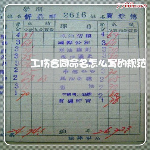 工伤合同命名怎么写的规范/2023042127038 工伤合同命名怎么写的规范/2023042127038