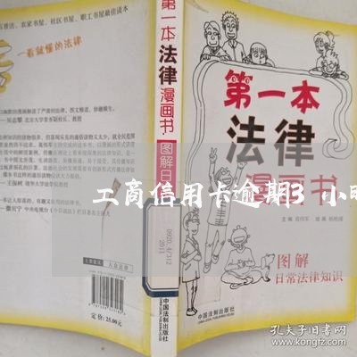 工商信用卡逾期3小时/2023061792814