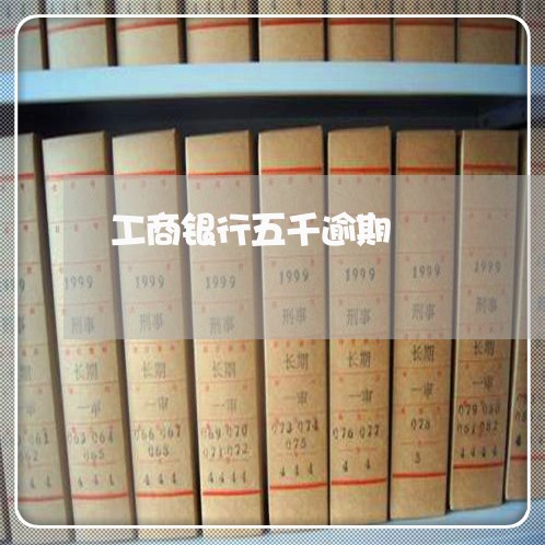 工商银行五千逾期