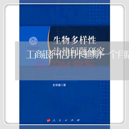 工商银行信用卡逾期一个月后还款 工商银行信用卡逾期一个月后还款