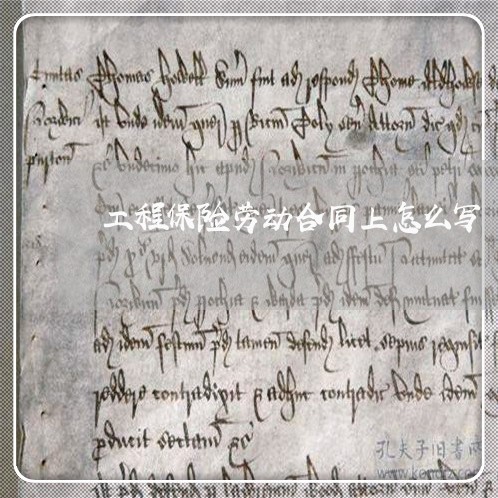 工程保险劳动合同上怎么写/2023041692825 工程保险劳动合同上怎么写/2023041692825