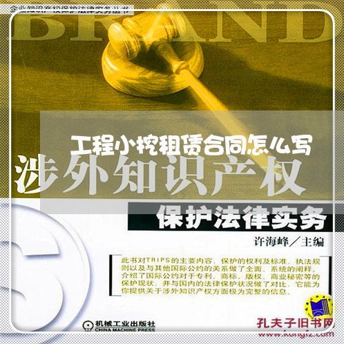 工程小挖租赁合同怎么写/2023041308168
