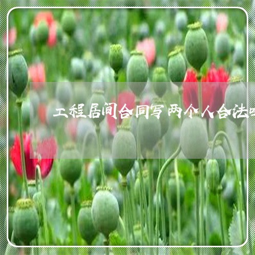 工程居间合同写两个人合法吗/2023060792725