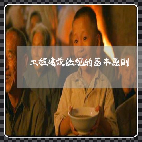 工程建设法规的基本原则