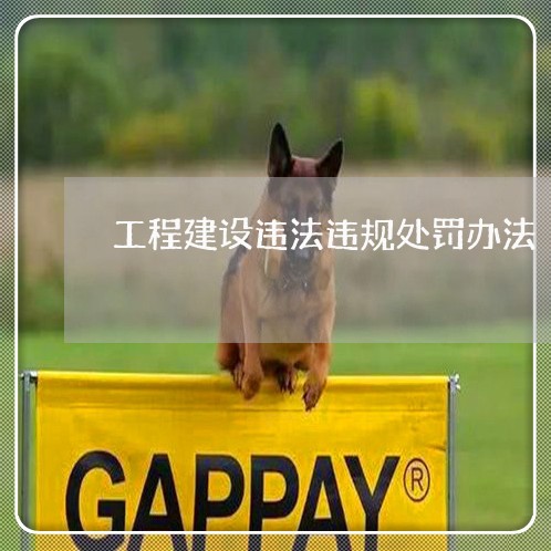 工程建设违法违规处罚办法 工程建设违法违规处罚办法