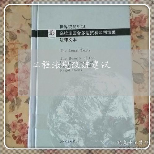 工程法规改进建议 工程法规改进建议