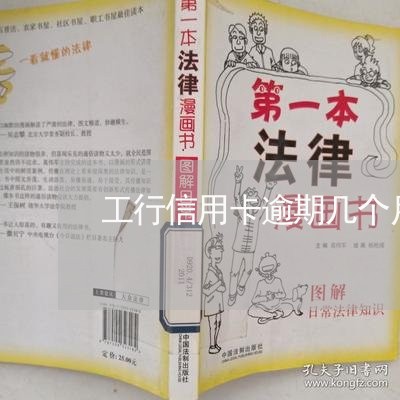 工行信用卡逾期几个月起诉/2023041386939