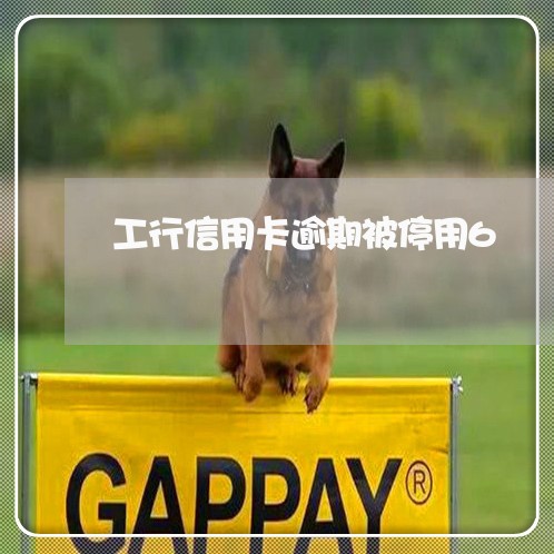 工行信用卡逾期被停用6 工行信用卡逾期被停用6