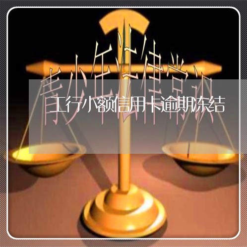 工行小额信用卡逾期冻结/2023041171827 工行小额信用卡逾期冻结/2023041171827