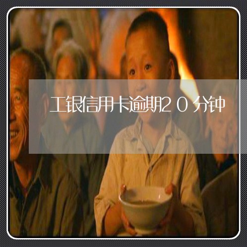 工银信用卡逾期20分钟 工银信用卡逾期20分钟