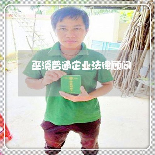 巫溪普通企业法律顾问