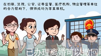 已办理离婚可以撤回吗在婚/2023061049470